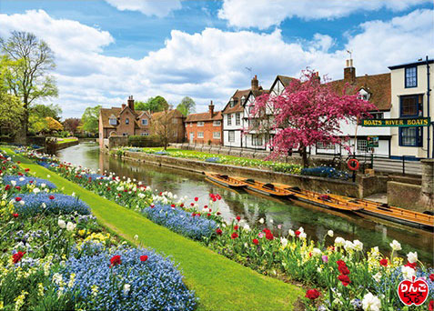 Aﾜﾝ500-282ｶﾝﾀﾍﾞﾘｰの散歩道