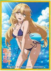 Chara Sleeve Collection Matte Series No.MT1045: Toaru Kagaku no