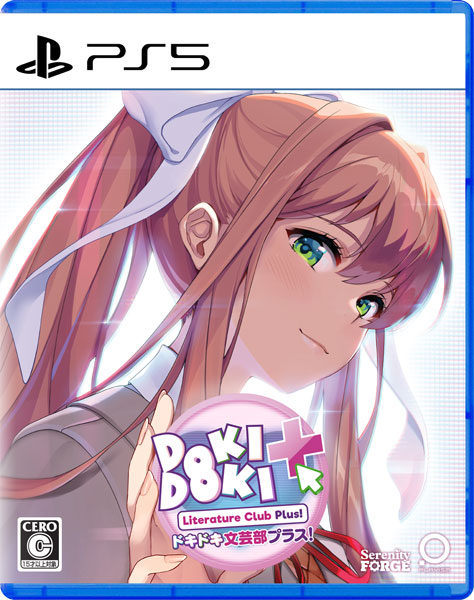 Doki Doki Literature Club, visual novel, video game characters