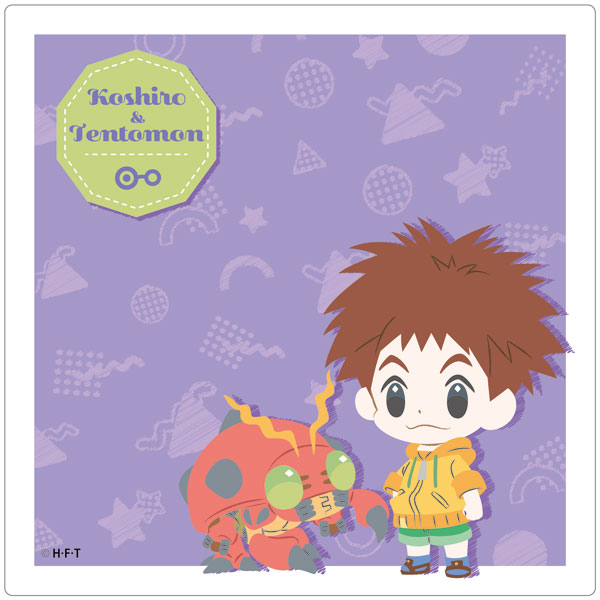 Digimon Adventure Izumi Koshiro Cosplay Costume