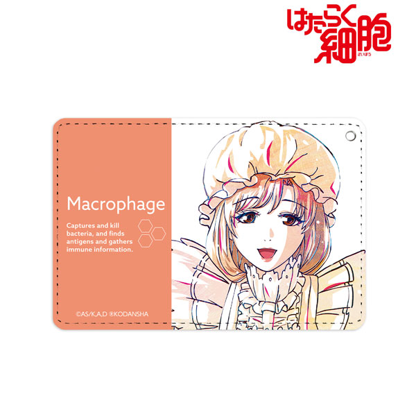 Cells at Work! (Hataraku Saibou) LADY 4 – Japanese Book Store