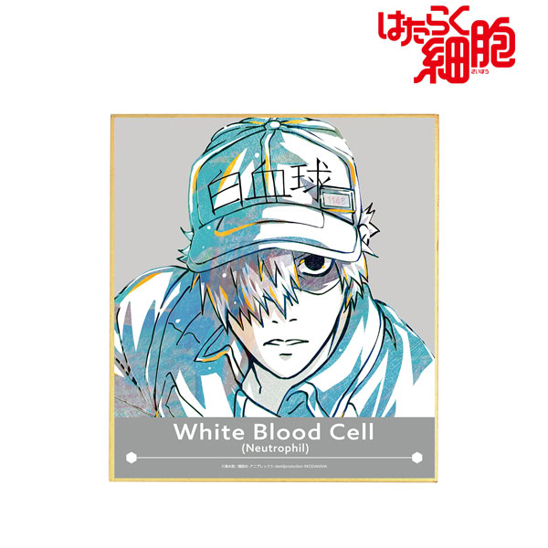 Cells At Work! - White Blood Cell Group Wall Scroll