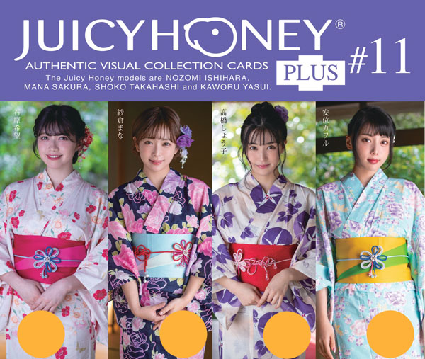 Guilty Gear Strive Official Huge Acrylic Stand Bridget Yukata Kimono ver  Mint