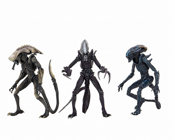 AmiAmi [Character & Hobby Shop] | Alien VS Predator / 7 Inch