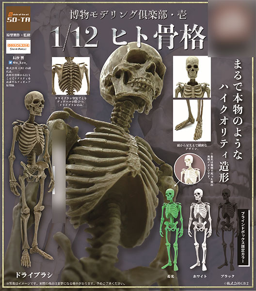 Skeleton Knight in Another World 12 – Japanese Book Store