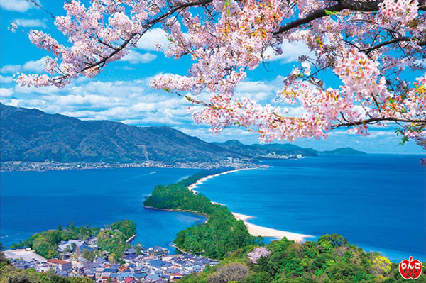 Aﾜﾝ1000-868桜咲く天橋立