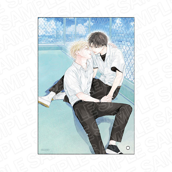 PL Anime anime-kissing Wall Poster 19*13 inches Matte Finish Paper