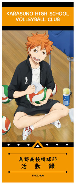 Buy Haikyuu message sheet Karasuno B Volleyball Anime Online at