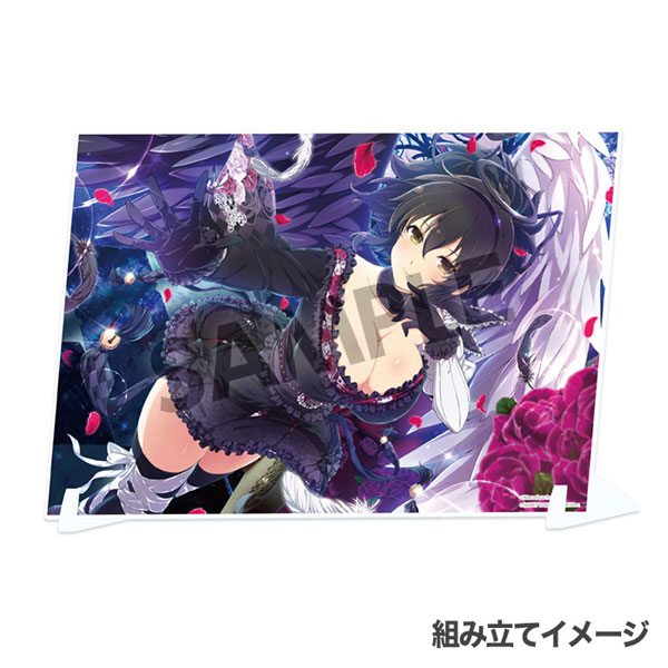 AmiAmi [Character & Hobby Shop]  Shinobi Master Senran Kagura