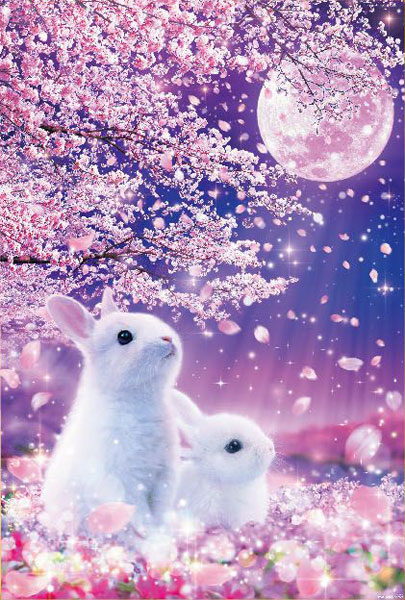 ﾋﾞﾊﾞﾘｰ81-129恋待ちうさぎ