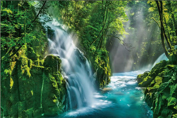 ﾔﾉﾏﾝ10-1415光芒差す菊池渓谷