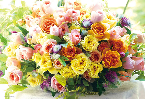 ﾋﾞﾊﾞﾘｰ93-170ｱﾚｸﾞﾘｱ