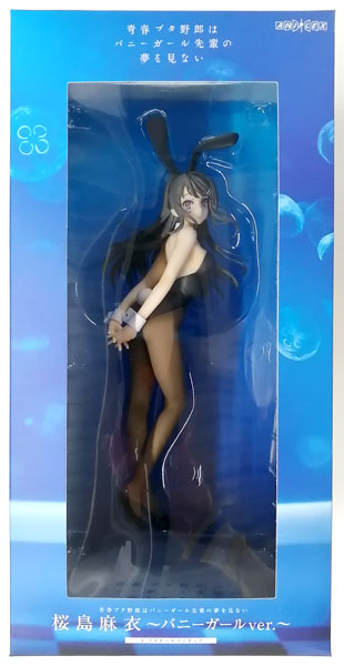 AmiAmi [Character & Hobby Shop] | (Pre-owned ITEM:B+/BOX:B)Rascal