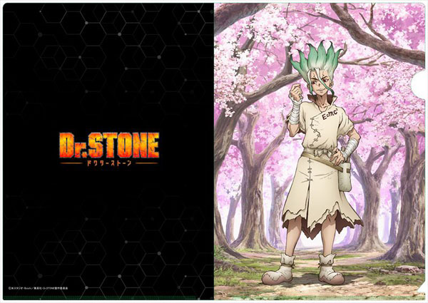 AmiAmi [Character & Hobby Shop] | Dr. STONE New Illustration