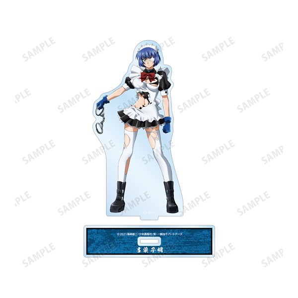 AmiAmi [Character & Hobby Shop] | Shin Ikkitousen Shimei Ryomou