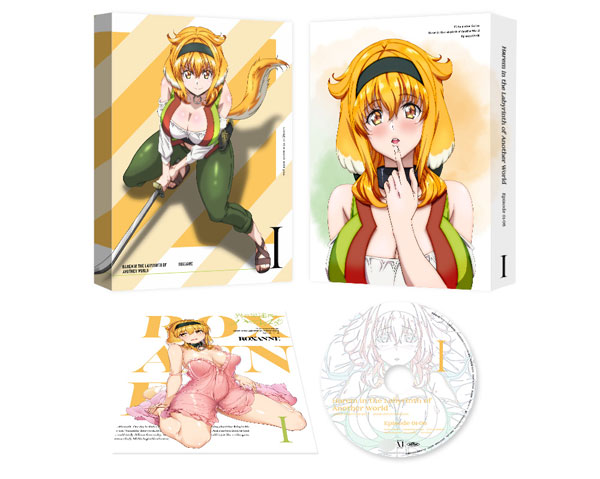 AmiAmi [Character & Hobby Shop]  DVD Harem in the Labyrinth of Another  World DVD BOX Latter Vol.(Released)
