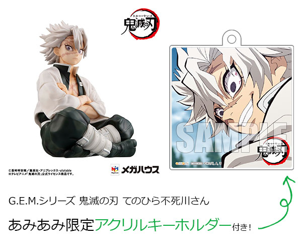 AmiAmi [Character & Hobby Shop]