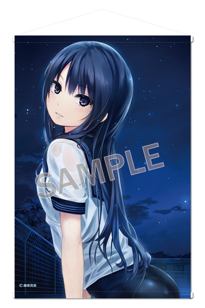 Brendream Coffee Kizoku B2 Wall Scroll SECRET NIGHT- Rika Shiramine image 1