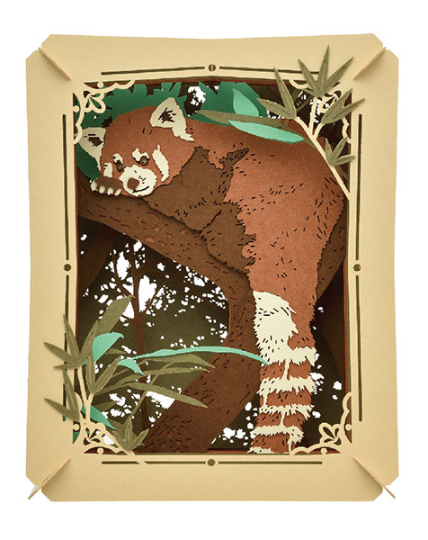 PT-260 レッサーパンダ