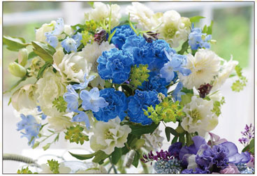 ﾔﾉﾏﾝ03-932ﾋｰﾘﾝｸﾞﾄﾞﾘｰﾑ