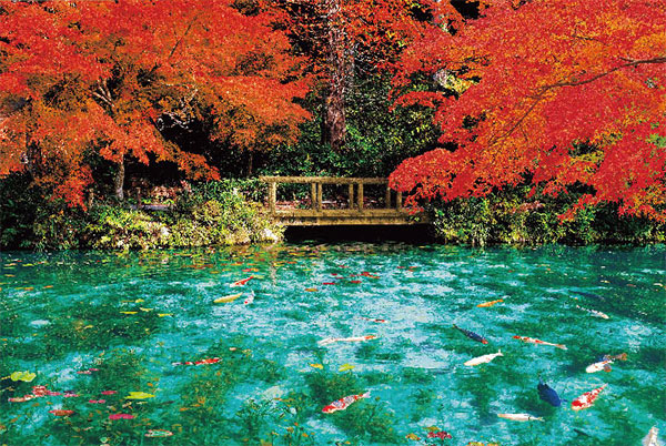 ﾋﾞﾊﾞﾘｰ33-214秋色に彩るﾓﾈの池