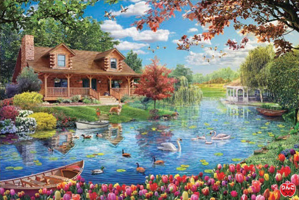 Aﾜﾝ1000-880輝きのｽﾜﾝﾘﾊﾞｰ