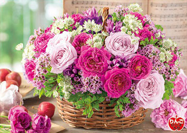 Aﾜﾝ500-299ﾊﾞﾗ色のｴﾁｭｰﾄﾞ