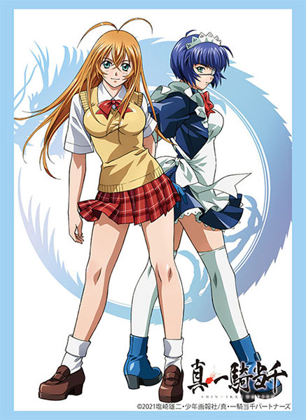 AmiAmi [Character & Hobby Shop]  Shin Ikkitousen Hakufu Sonsaku BIG Tin  Badge(Released)