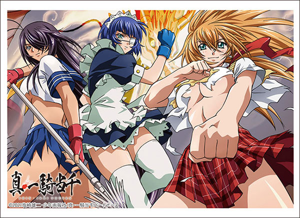 Shin Ikki Tousen: Drawn by Shimei Ryomou Dakimakura cover (2way tricot)