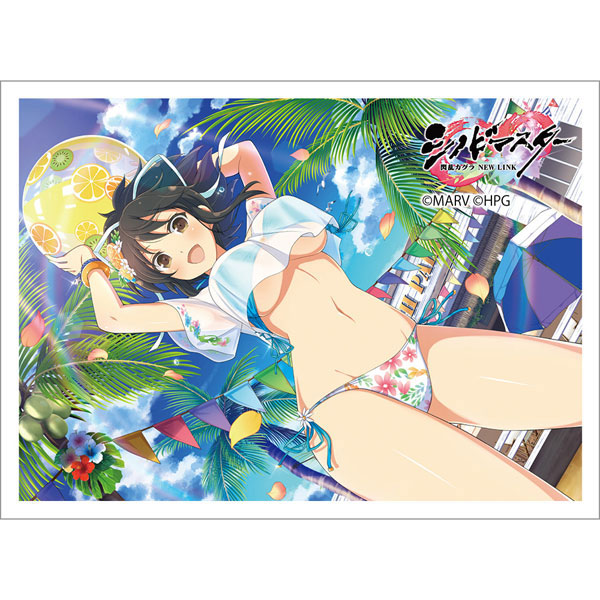 AmiAmi [Character & Hobby Shop] | Shinobi Master Senran Kagura 