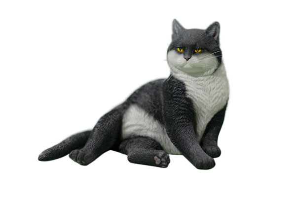 神猫 Amazon.co.jp: サチコと神ねこ様 7 (フィールコミックス) : wako: 本