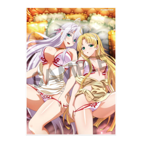 High School DxD Hero Visual Acrylic Plate: Rossweisse & offers Koneko NEW