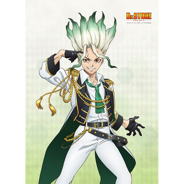 AmiAmi [Character & Hobby Shop] | Dr. STONE New Illustration B2