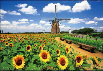 ﾔﾉﾏﾝ01-2082ｵﾗﾝﾀﾞ風車とﾋﾏﾜﾘ