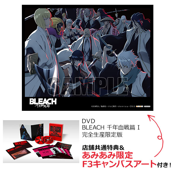 Bleach Collection 6 Episodes 92-109 DVD Anime/Madman