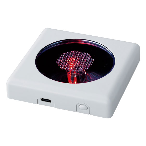 ｸﾘｽﾀﾙﾊﾟｽﾞﾙ ﾃﾞｨｽﾌﾟﾚｲﾗｲﾄ