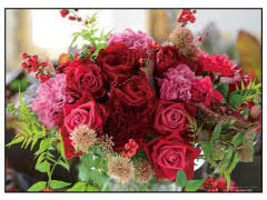 ﾔﾉﾏﾝ05-1071ﾛﾏﾝﾃｨｯｸｻｲﾝ