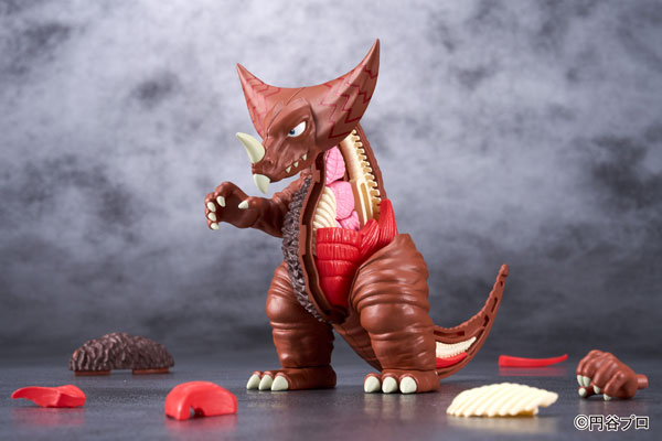 AmiAmi [Character & Hobby Shop]