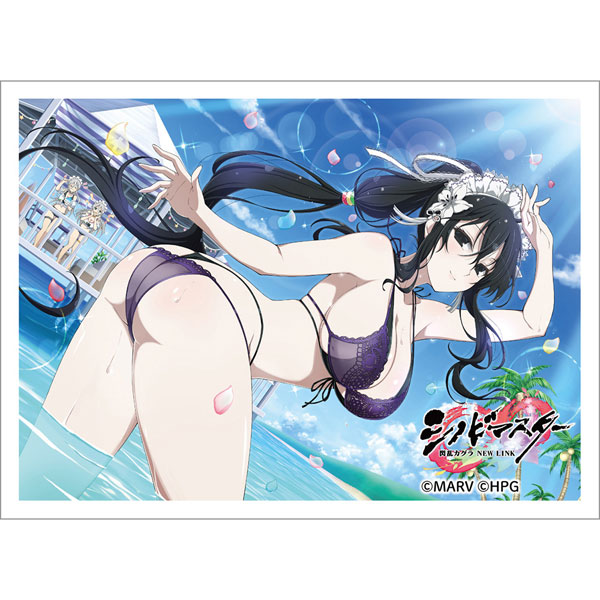 Shinobi Master Senran Kagura: New Link B2-Size Tapestry Collection