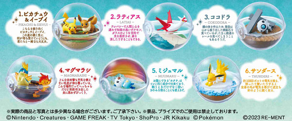 AmiAmi [Character & Hobby Shop] | Pokemon Terrarium Collection 13