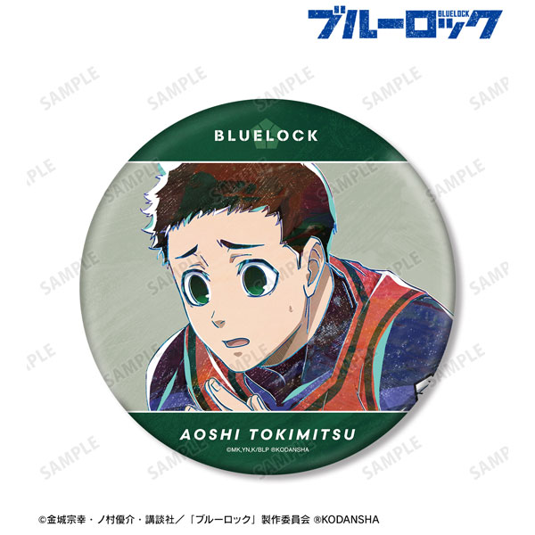 Aoshi TOKIMITSU (Character) –