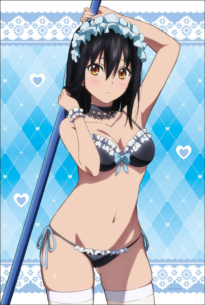 AmiAmi [Character & Hobby Shop] | Strike the Blood FINAL New Illustration B2  Wall Scroll (1) Yukina Himeragi(Released)