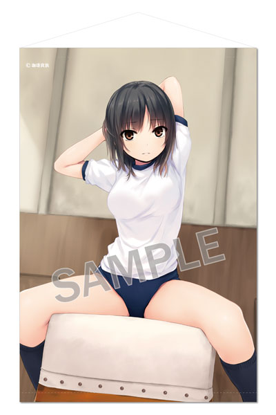 幻想の宴　引退品 AmiAmi [Character & Hobby Shop]