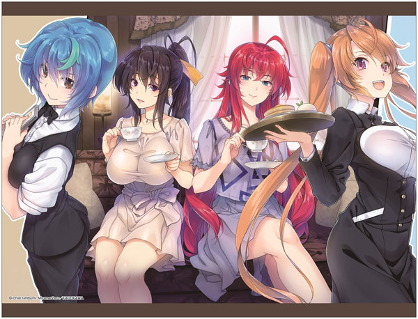 Anime Poster High School DxD characters Wall Scroll HD Painting