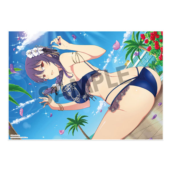 Shinobi Master Senran Kagura: New Link Visual Acrylic Plate