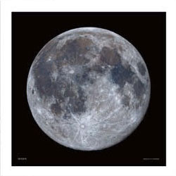 ﾔﾉﾏﾝ36-09満月