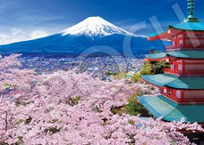 ｾﾝﾄﾗﾙ06-303s春風富士と五重塔