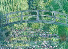 ｾﾝﾄﾗﾙ54-231睡蓮