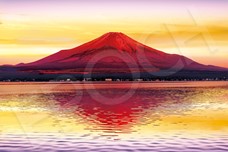 ｾﾝﾄﾗﾙ09-035s輝きの金雲赤富士