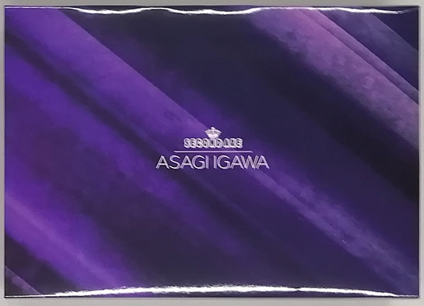 Second Axe Taimanin Series SECOND AXE Type HENTAI ACTION Asagi Igawa (Native Online Shop Exclusive)